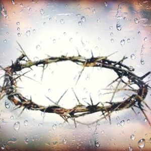 Meet your Posher, Layla